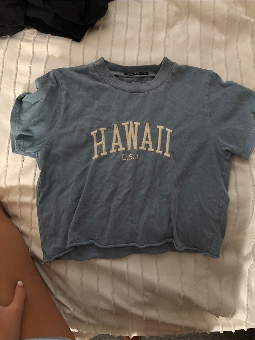 Brandy Melville Light Blue 'HAWAII U.S.A.' Cropped Tee